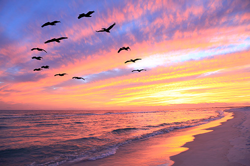 Destin and Fort Walton Beach Snowbird Winter Rentals